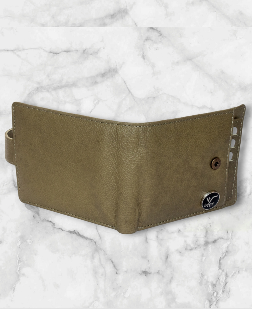 brown wallet 1